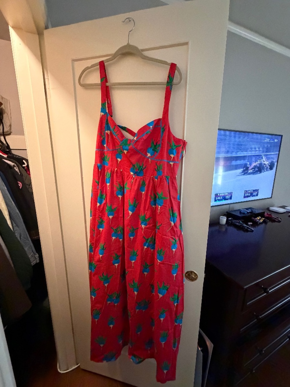 Rachel Antonoff radish dress